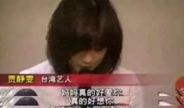 圈内爆料贾静雯,揭秘明星背后的故事