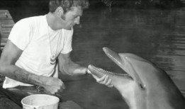 海豚湾在线观看,在线观看揭示的海洋悲剧